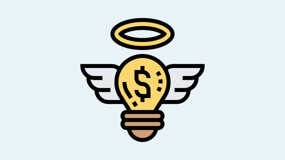 Thoughts on <my first Angel Investment>